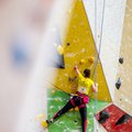 Para Climbing Staatsmeisterschaft 2024